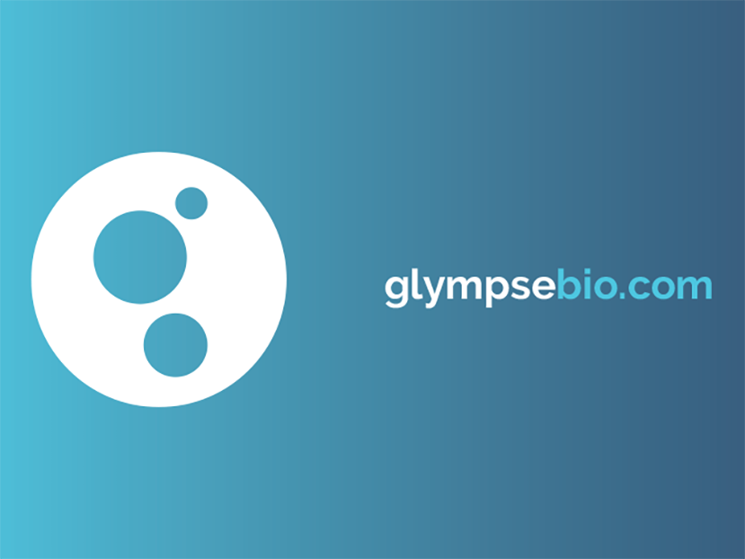 Glympse | Branding and Templates for this Cambridge MA Bio Tech Company