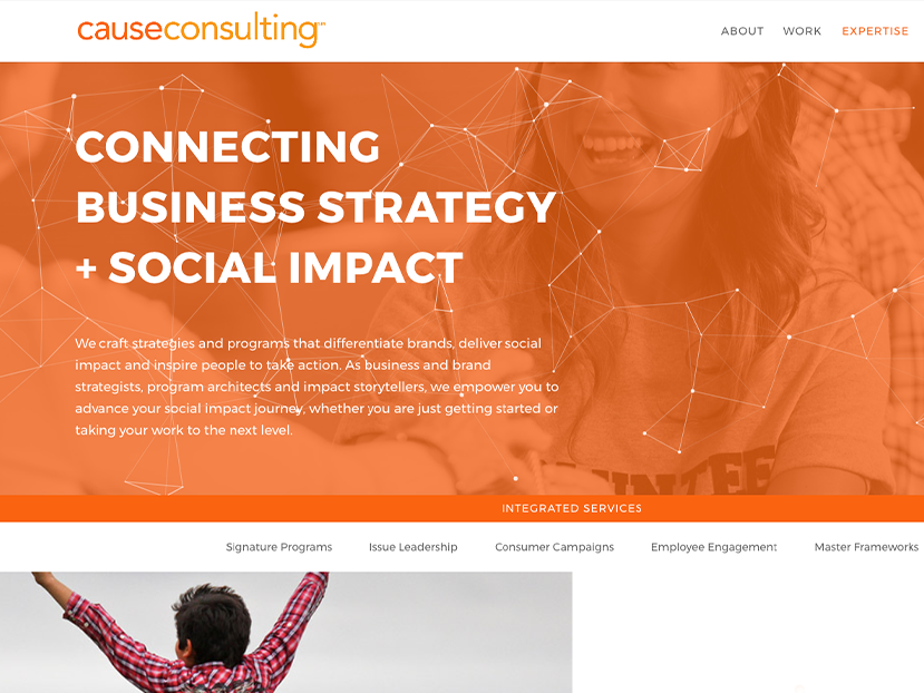 Cause Consulting | Website and SEO
