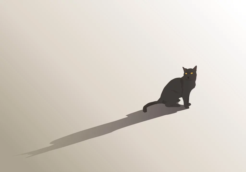 Black Cat on a white background showing the successful use of white space